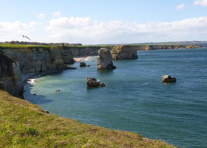 Cosy Haven Lägenhet South Shields Exteriör bild
