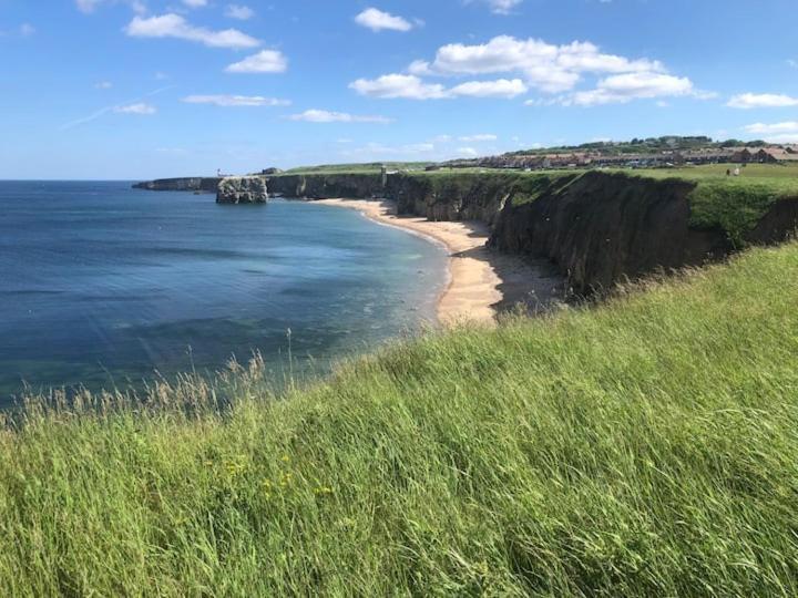 Cosy Haven Lägenhet South Shields Exteriör bild